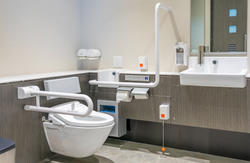 Handicap Accessible Bathroom Installation